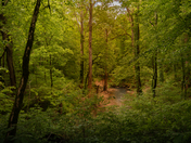 Mammoth Cave National Park