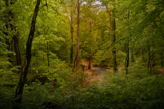 Mammoth Cave National Park