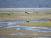 Lake Clark National Park