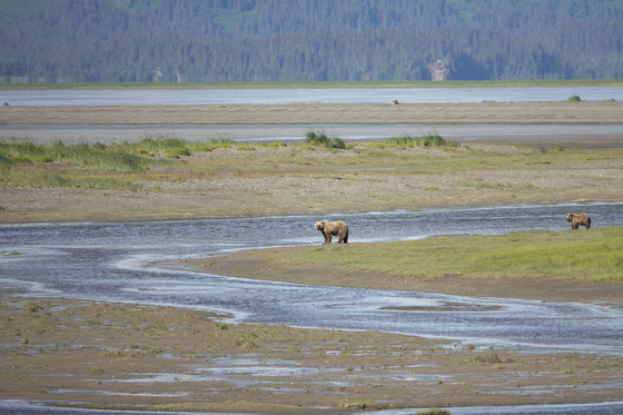 Lake Clark National Park