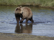 Lake Clark National Park