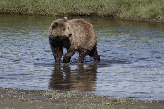 Lake Clark National Park
