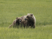 Lake Clark National Park