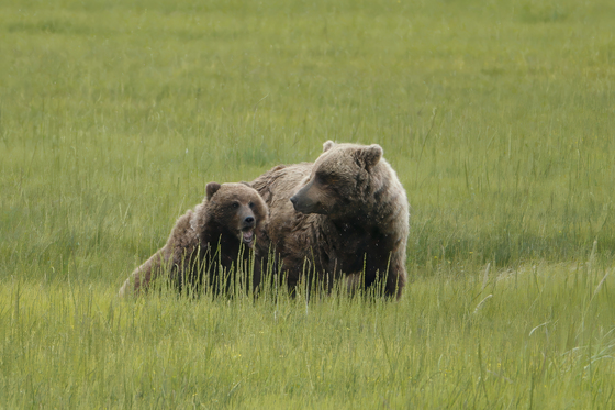 Lake Clark National Park
