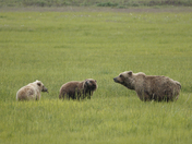 Lake Clark National Park