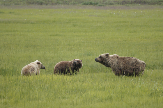 Lake Clark National Park