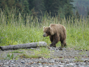 Lake Clark National Park