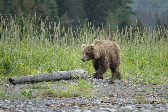 Lake Clark National Park