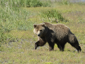 Lake Clark National Park