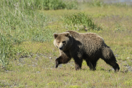 Lake Clark National Park