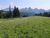 Mount Rainier National Park