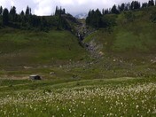 Mount Rainier National Park
