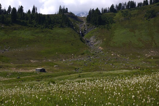 Mount Rainier National Park