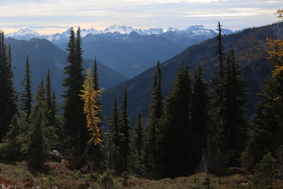 North Cascades National Park