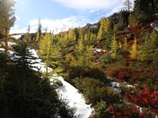 North Cascades National Park