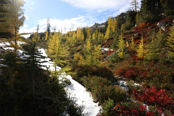 North Cascades National Park