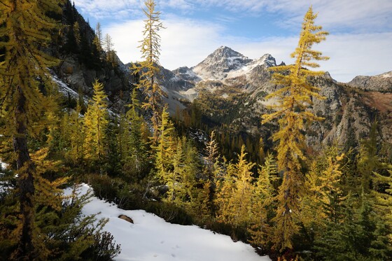 North Cascades National Park