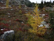 North Cascades National Park