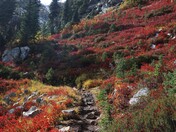 North Cascades National Park