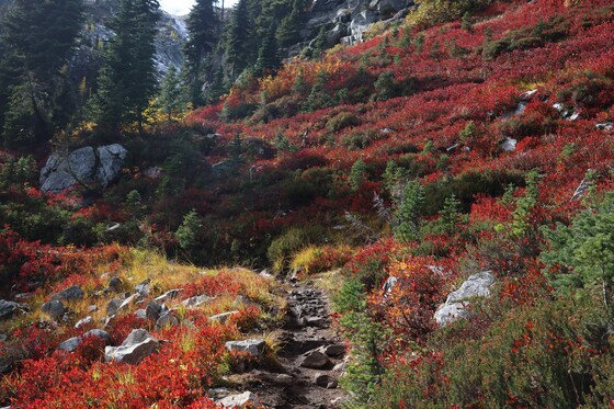 North Cascades National Park