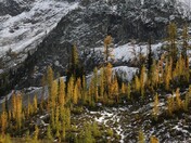 North Cascades National Park