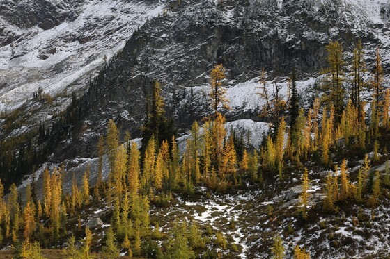 North Cascades National Park