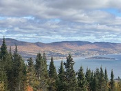 A tapestry of colours