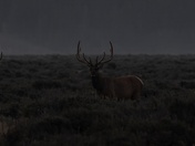 Grand Teton National Park