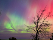 Stripped Bare against the Northern Lights (#2)