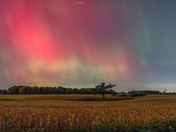 Fall Aurora