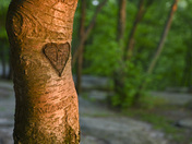 Cuyahoga National Park