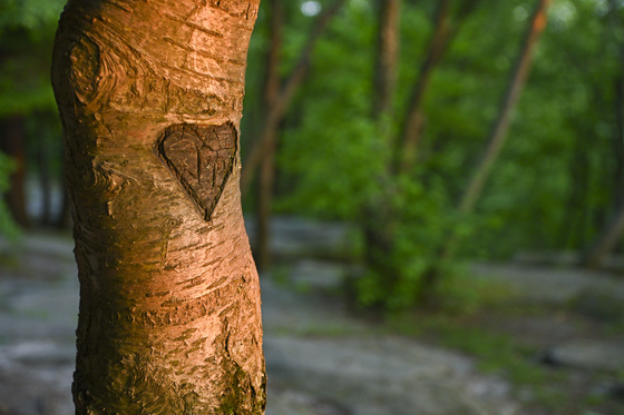 Cuyahoga National Park