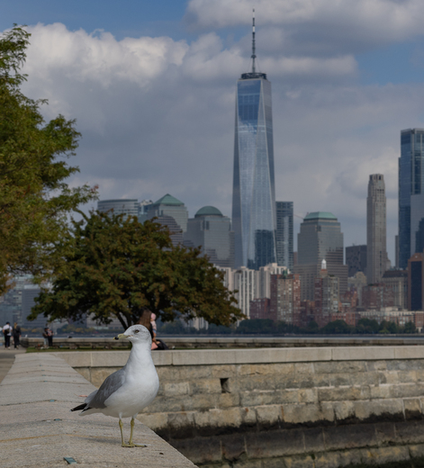 Ellis Island 