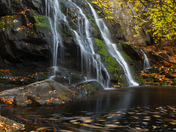 Great Smoky Mountain National Park