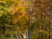 Great Smoky Mountain National Park