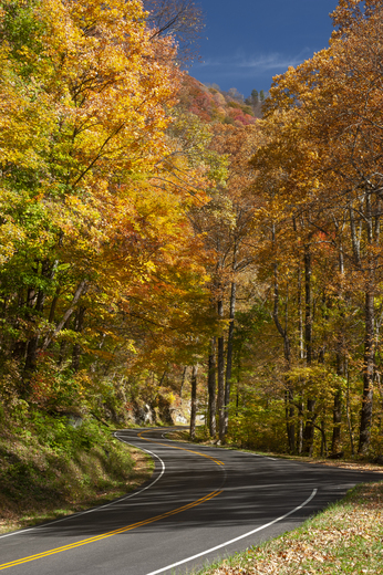 Great Smoky Mountain National Park