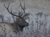 Great Smoky Mountain National Park