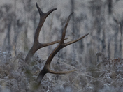 Great Smoky Mountain National Park