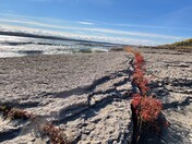 Fall at Fort Vermillion Falls