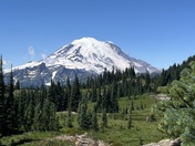 Mt Rainier National Park
