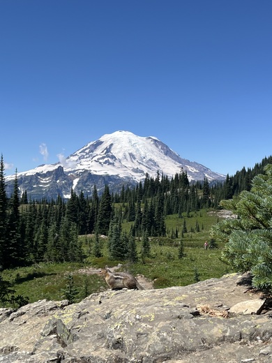 Mt Rainier National Park