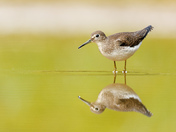 Patuxent Research Refuge