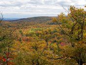 Gatineau Park Fall Foliage