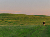 Tallgrass Prairie National Preserve