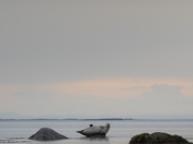 Repos au crépuscule