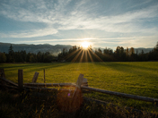 Soleil couchant sur les champs