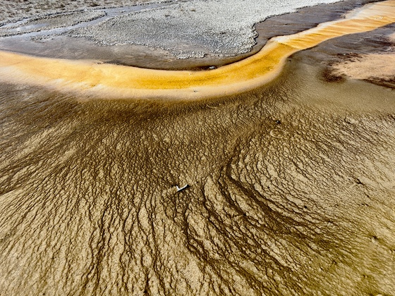 Yellowstone National Park