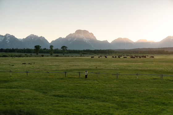 Grand Teton National Park