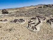 Jurassic National Monument