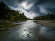 Kingsford Conservation